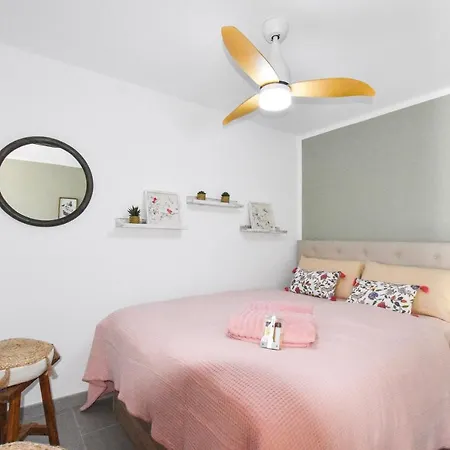 Book Jet - Casa Adam