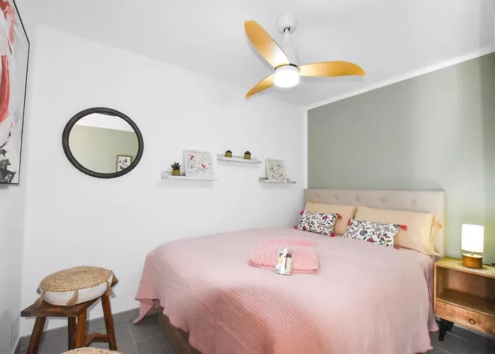 Book Jet - Casa Adam